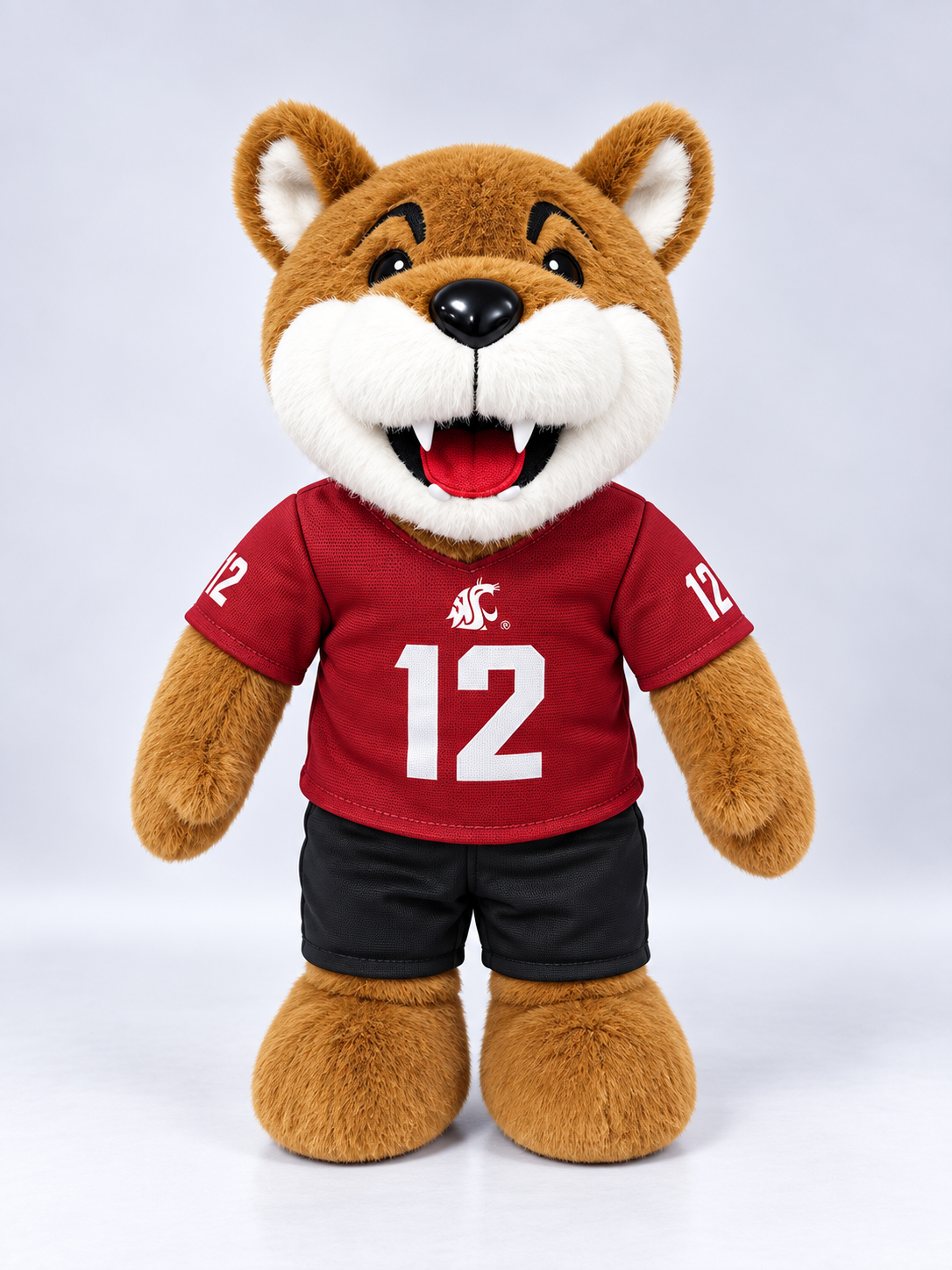WSU