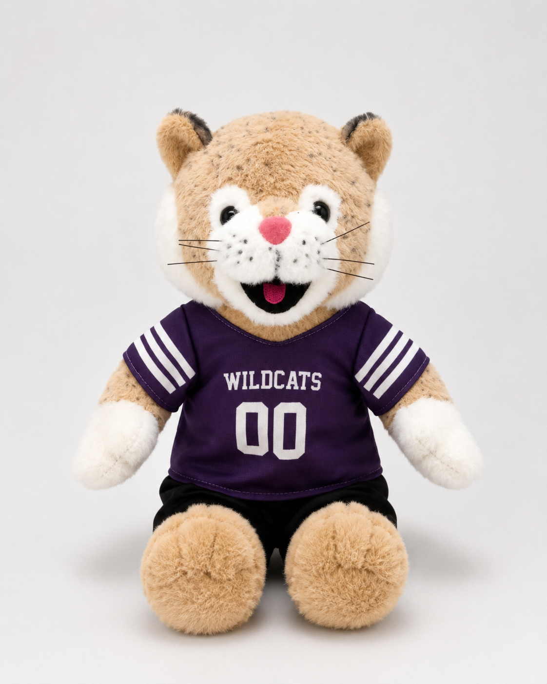 Weber State