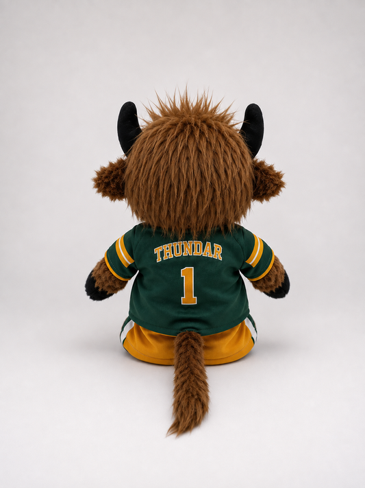 Thundar Football