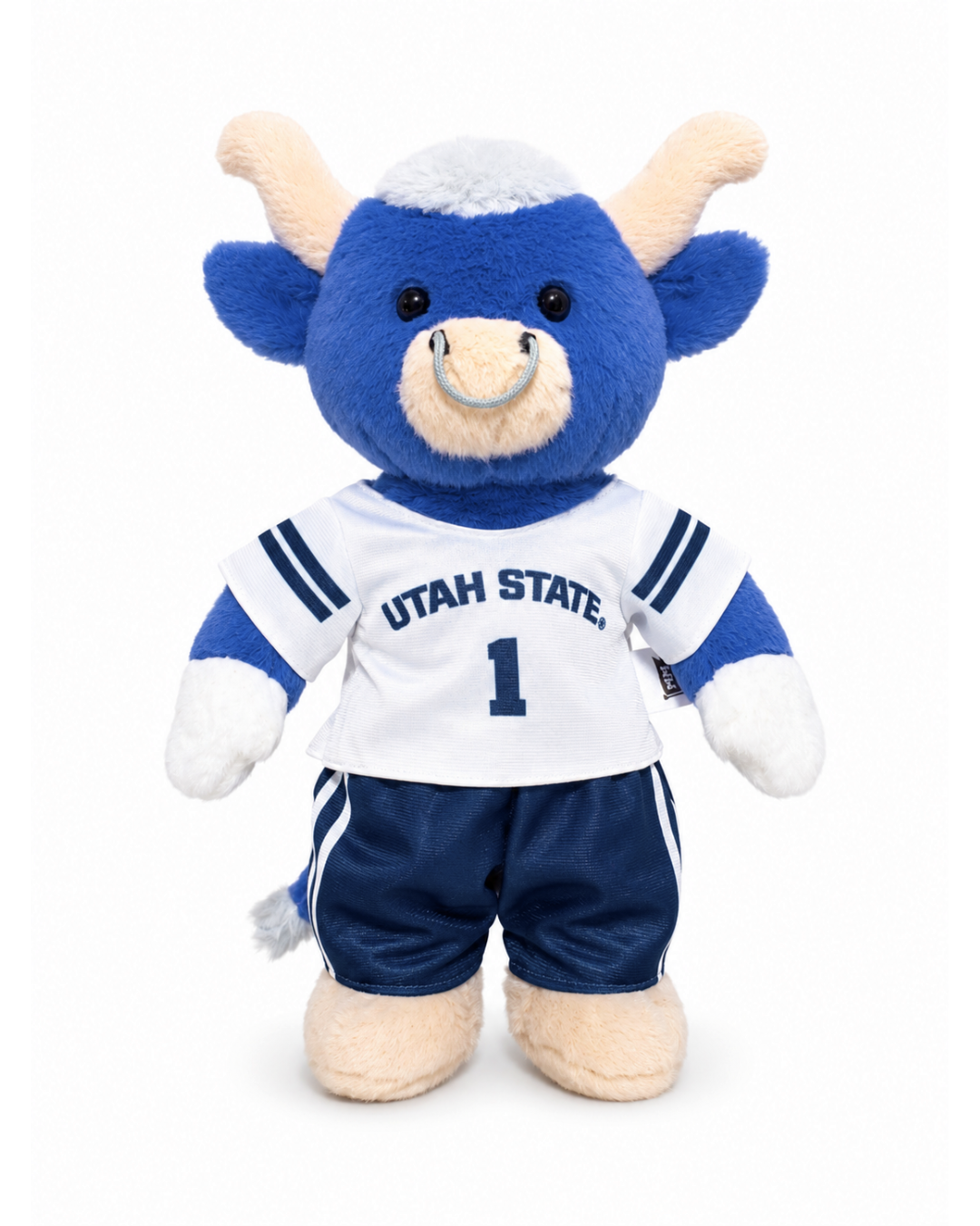 PREORDER Big Blue Football