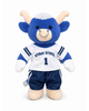 PREORDER Big Blue Football