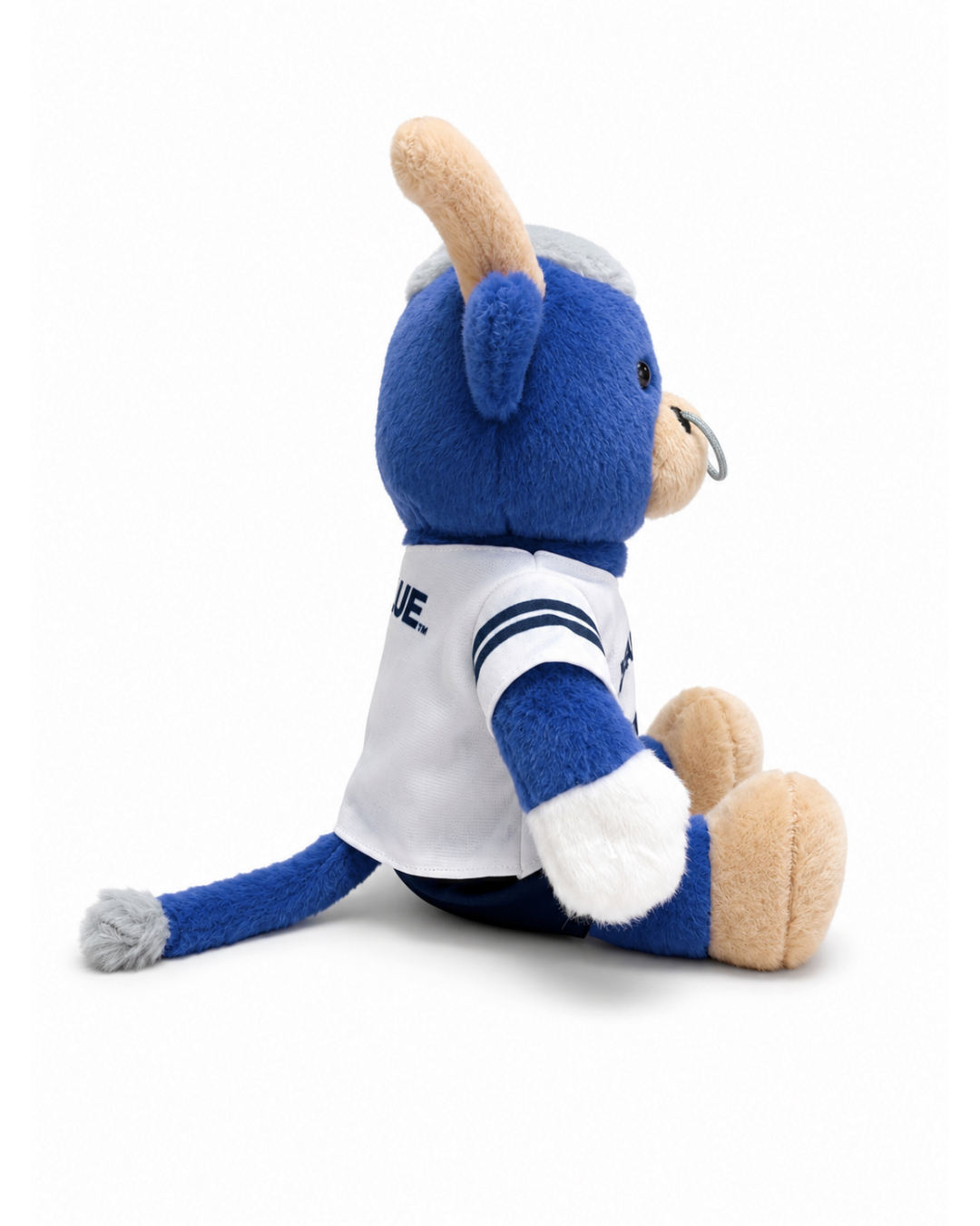 PREORDER Big Blue Football