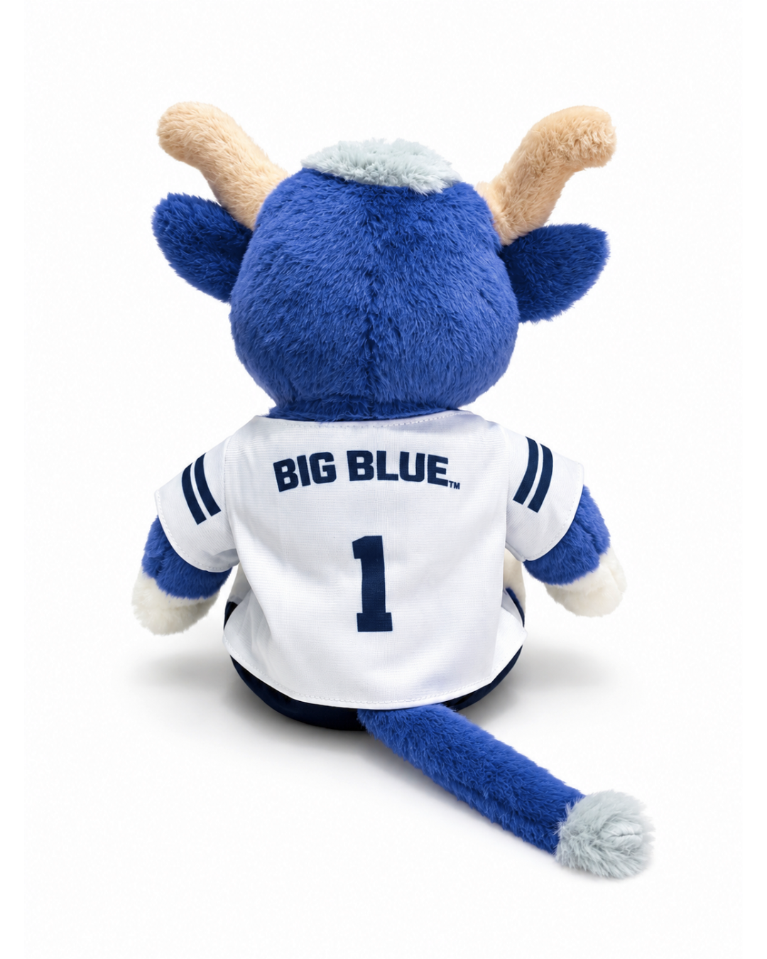 PREORDER Big Blue Football