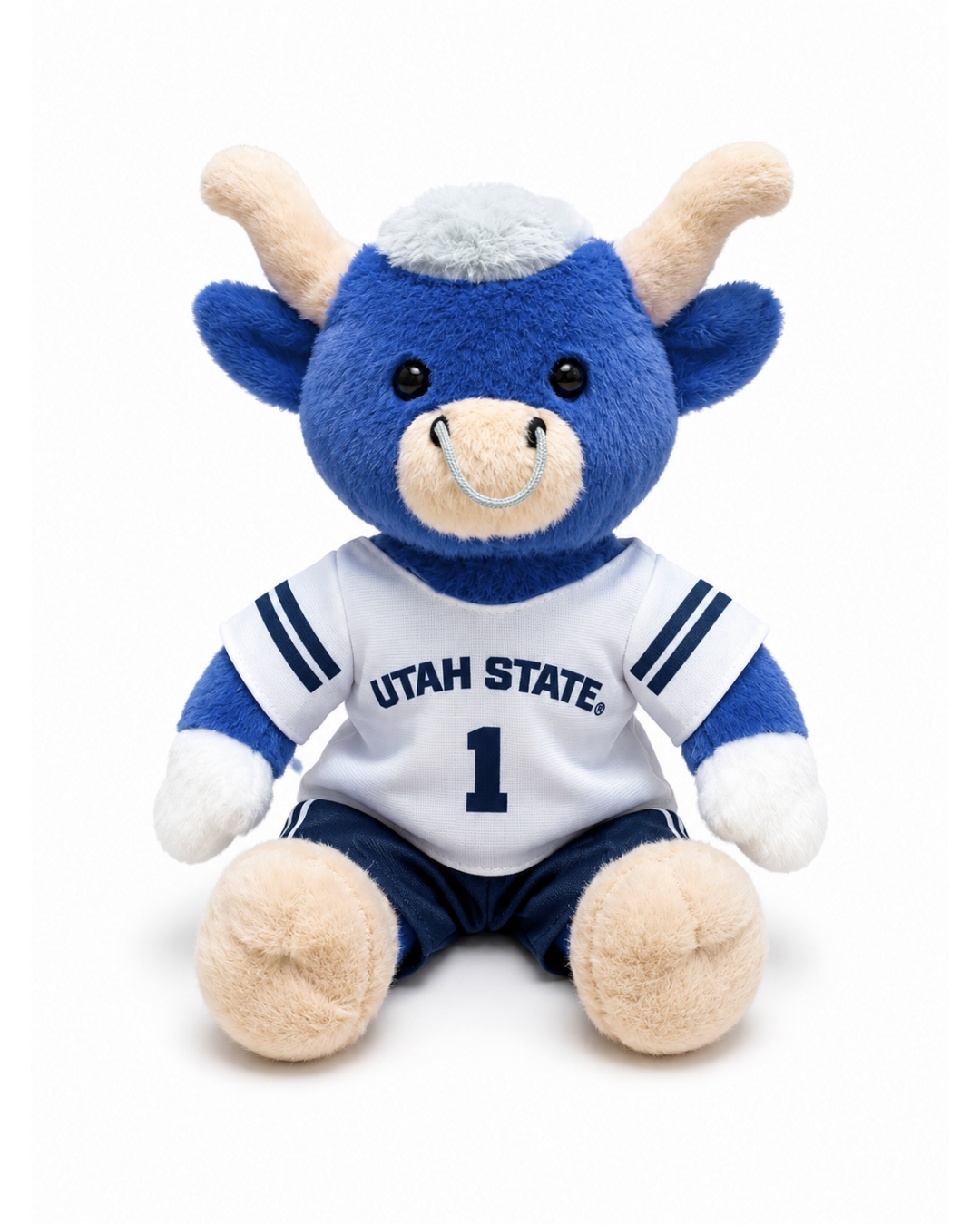 PREORDER Big Blue Football