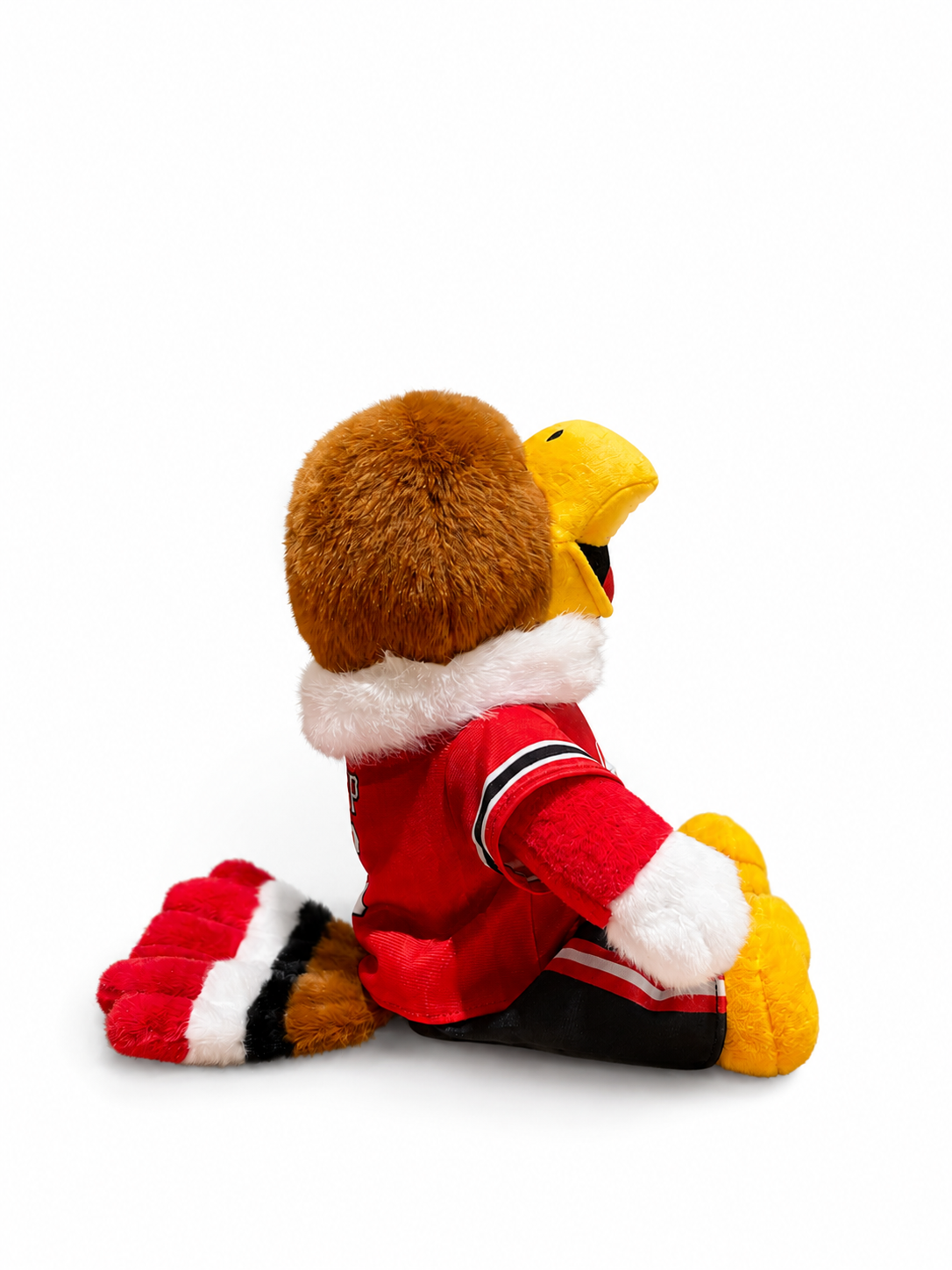 PREORDER Swoop Football