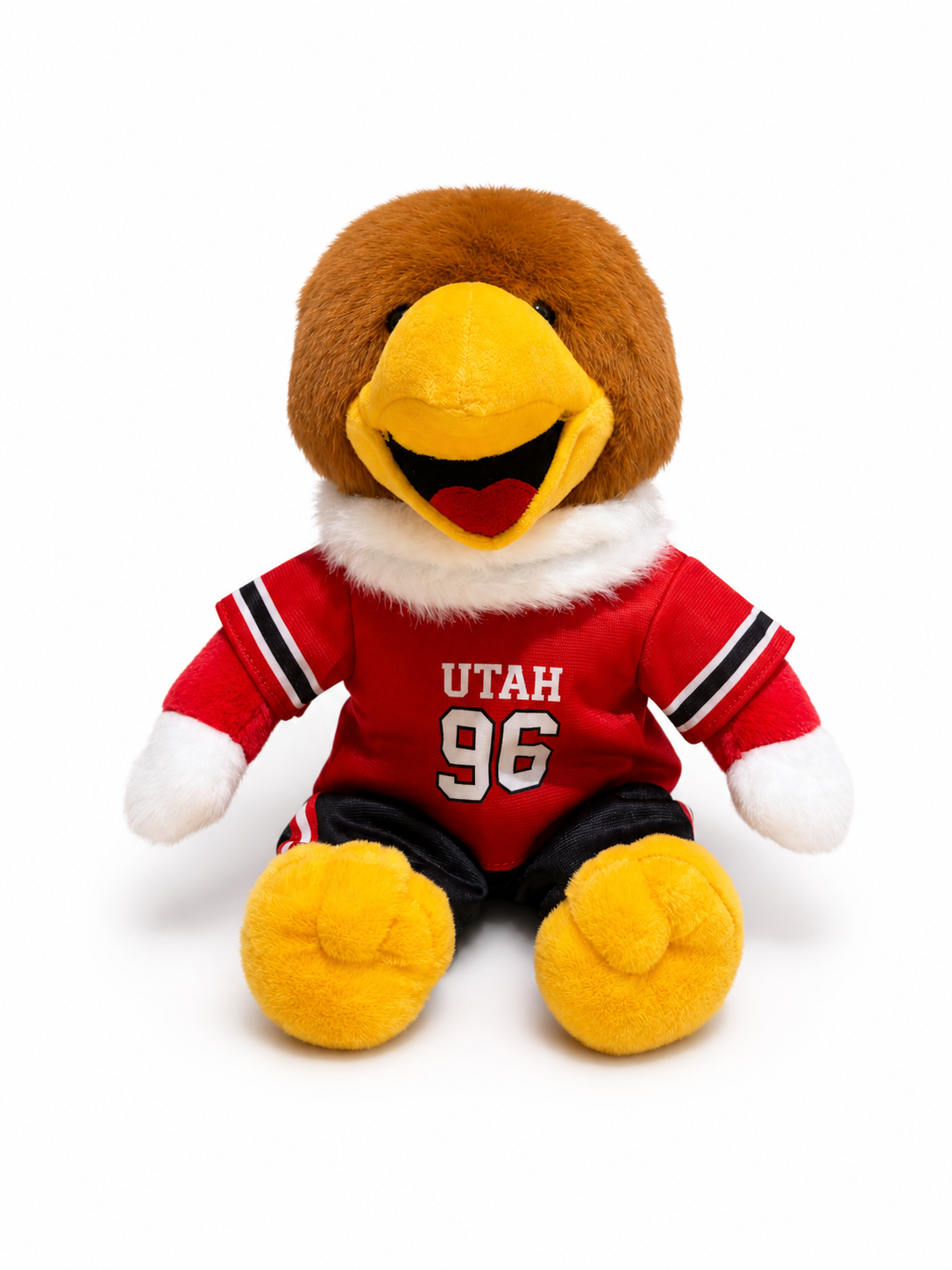 PREORDER Swoop Football