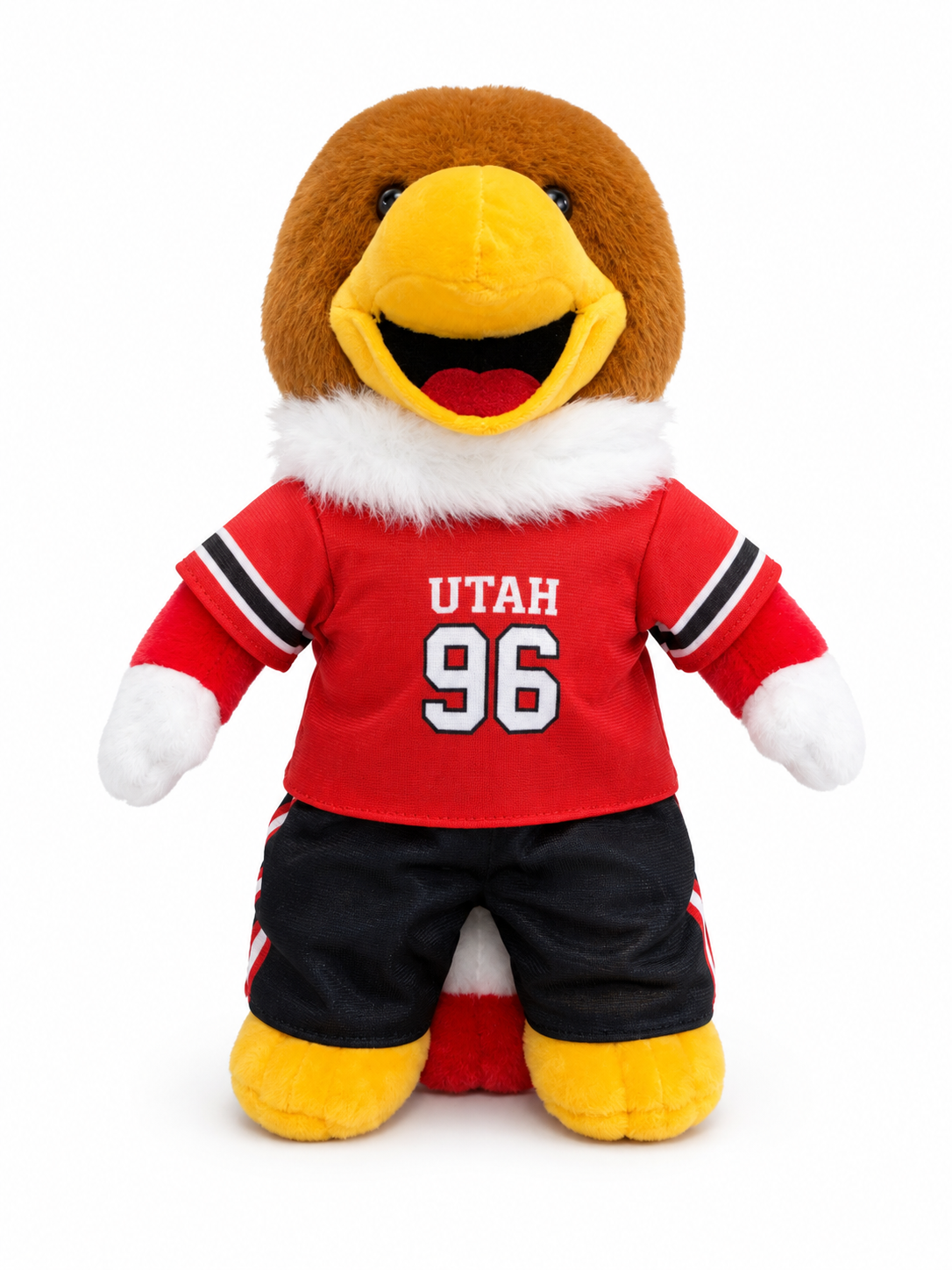 PREORDER Swoop Football