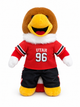 PREORDER Swoop Football