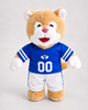 PREORDER Cosmo Football