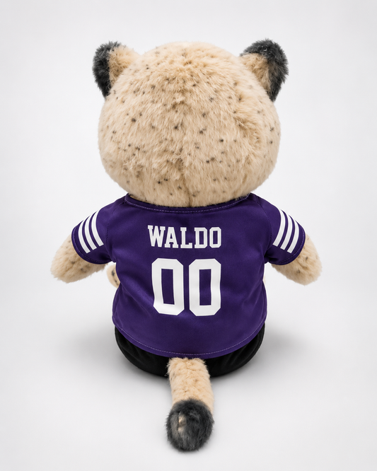 Waldo Football